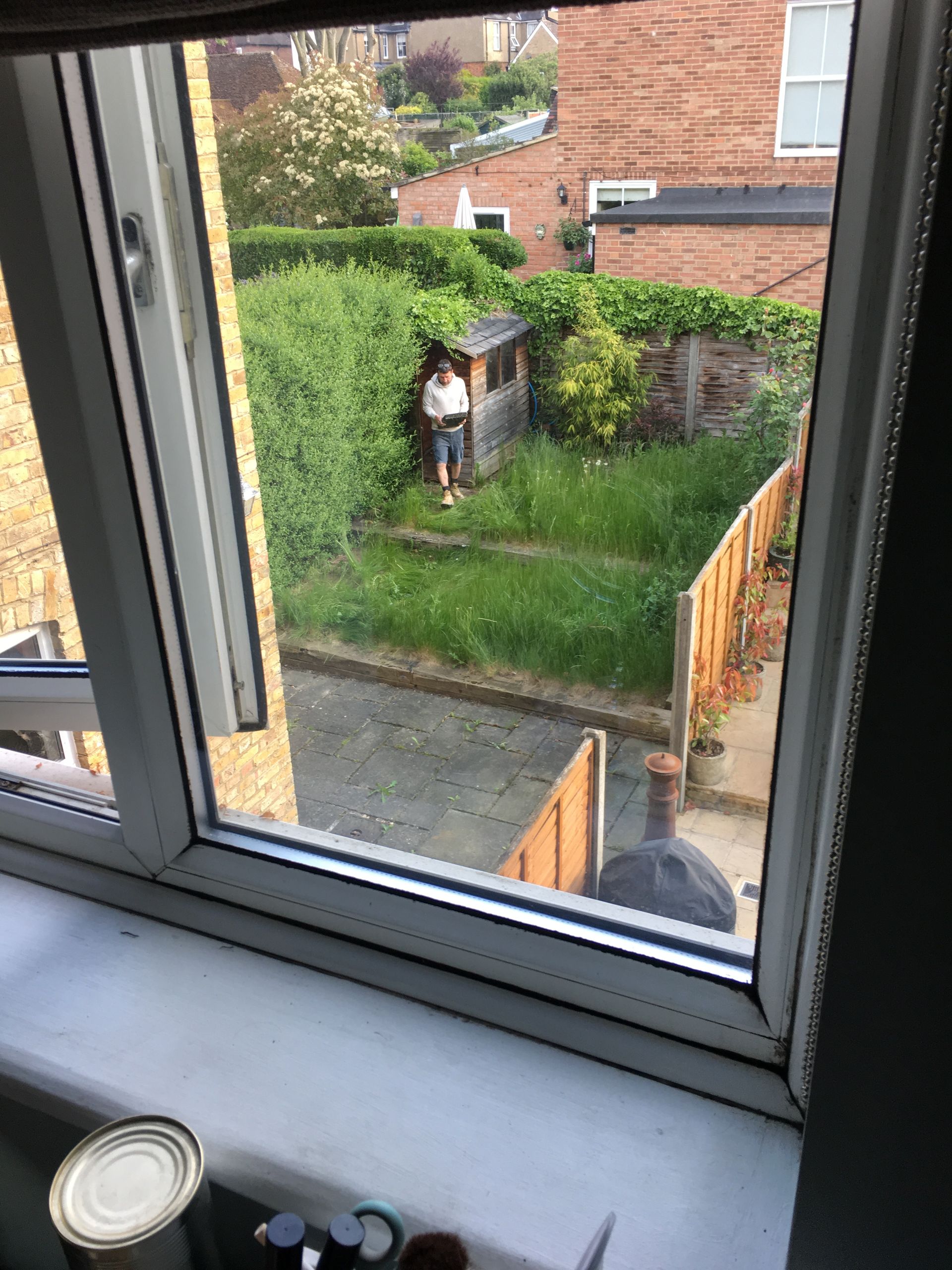 Kat's Garden — project photo