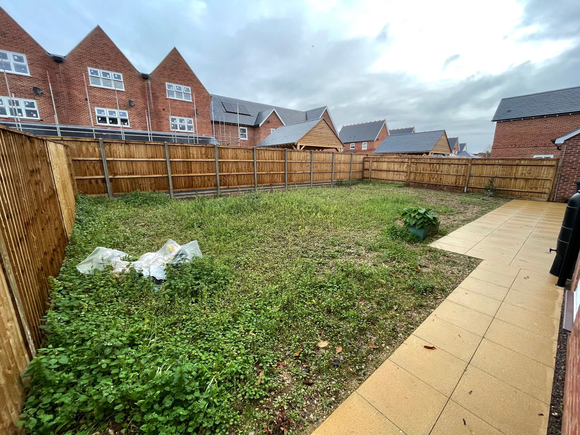 Martin's Garden — before