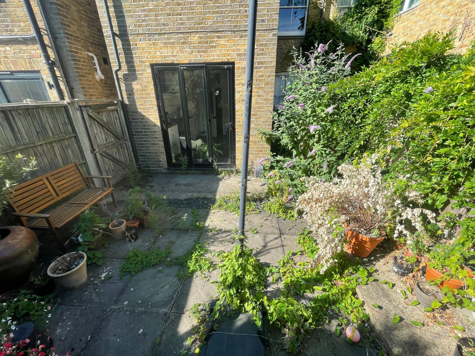 Sharon's Garden — before